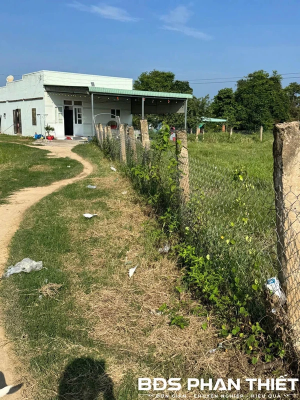Bán đất vườn Ma Lâm 1.000 m²