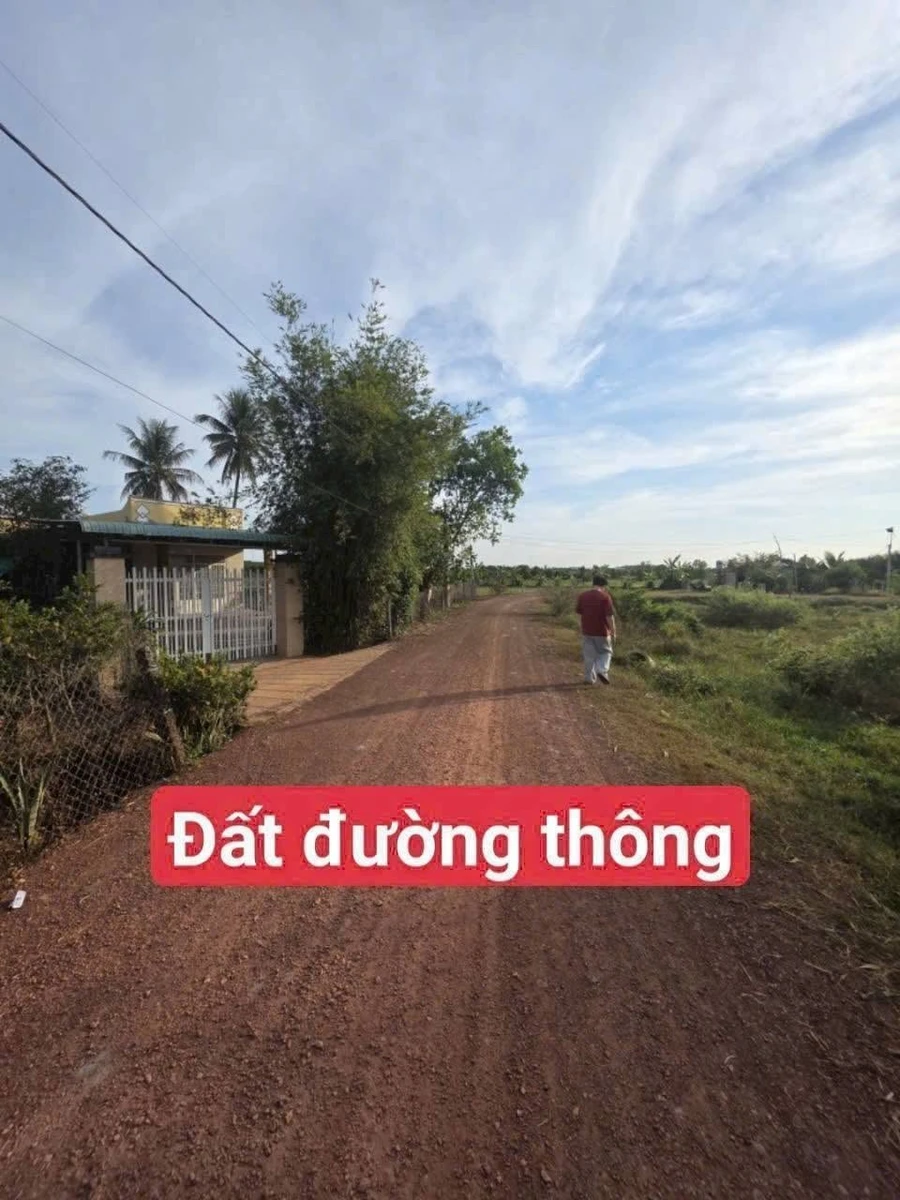 Bán đất Dương Minh Châu Tây Ninh 175m2 290 triệu - Ảnh thu nhỏ 2