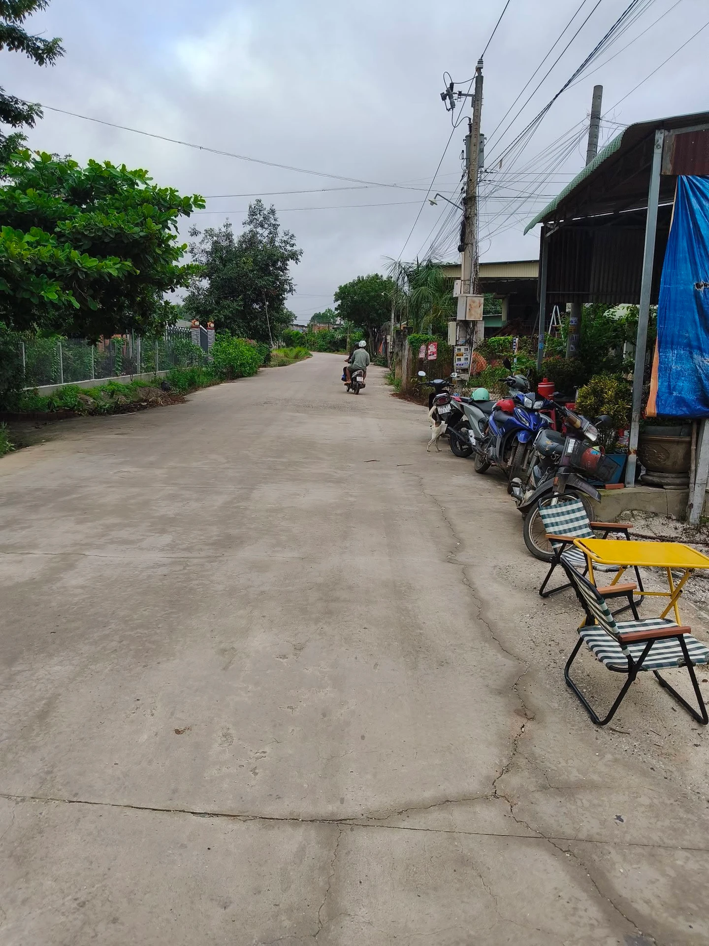 Bán đất thổ cư 100m² Tân Phú, Tây Ninh 379 triệu - Ảnh 1