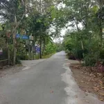 Bán đất mặt tiền 1.202m² Phường An Hội, Vĩnh Long - Ảnh thu nhỏ 3