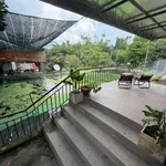 Bán đất view nghỉ dưỡng 2386m² sổ riêng Đồng Nai - Ảnh thu nhỏ 3