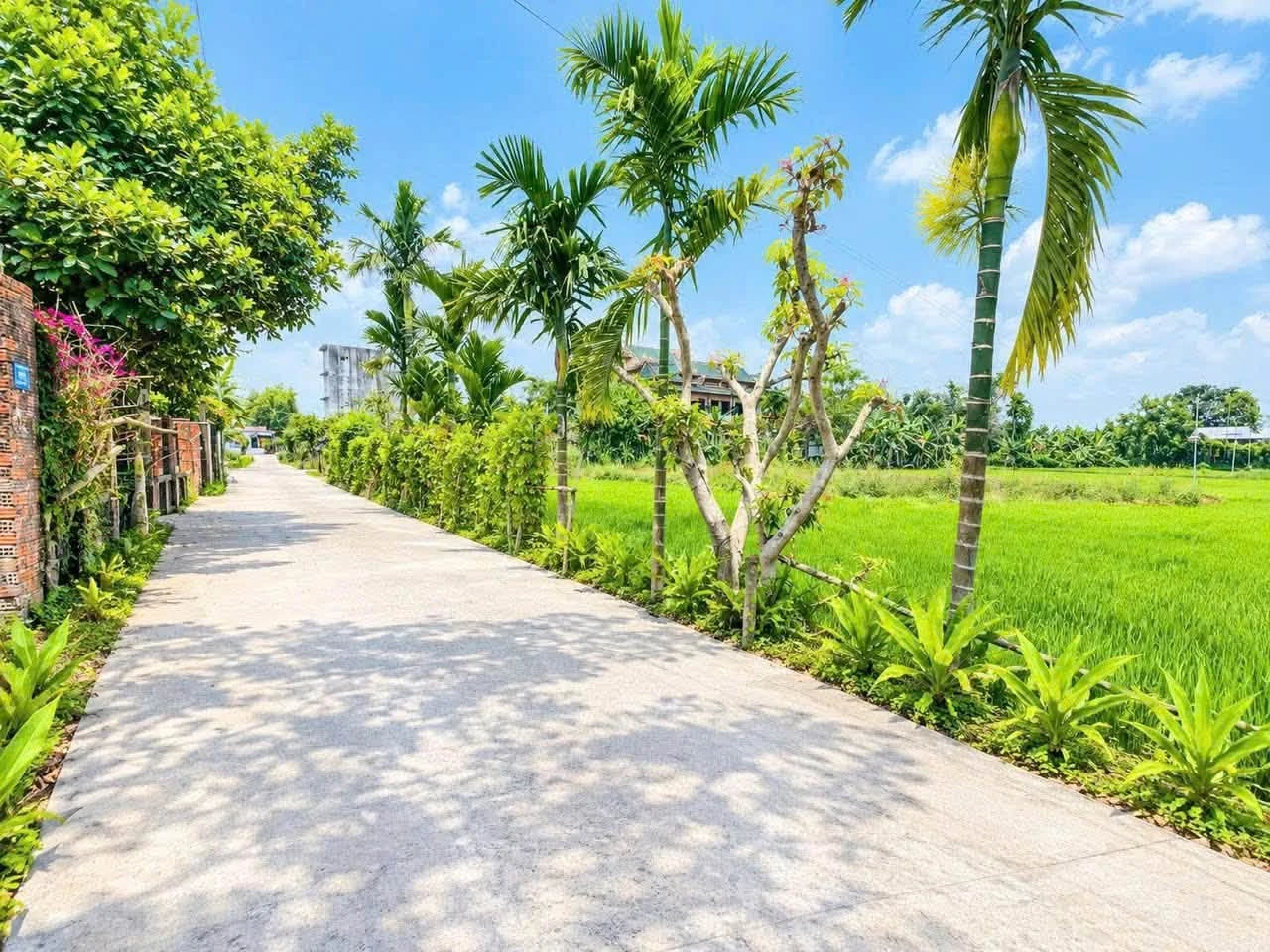 Bán đất thổ cư 100% 120m² hẻm 60 Giải Phóng, Thủ Đức seenia - Ảnh 1