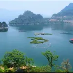 Bán đất 770m view Hồ Hòa Bình tại Bản Ngòi, Phú Thọ - Ảnh thu nhỏ 5