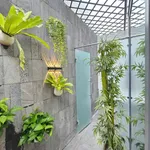 Bán nhà 1 trệt 3 lầu 89,7m² full nội thất Dĩ An - Ảnh thu nhỏ 5
