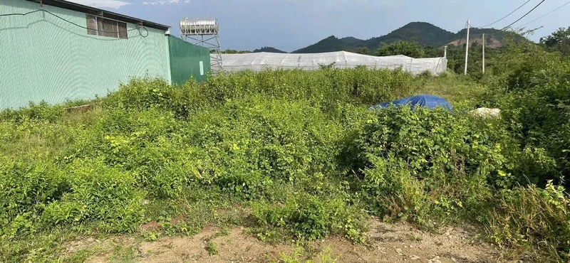 Bán lô góc 2 mặt tiền 457m² Buôn Đôn, Đắk Lắk
