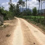 Bán lô đất 7200m² ngang 62m tại Bình Định - Ảnh thu nhỏ 2