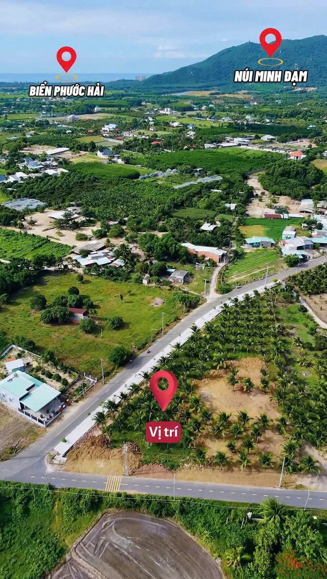 Bán đất nền 301m2 Xã Phước Hải Bà Rịa Vũng Tàu 2 tỷ 3 - Ảnh 1