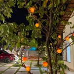 Bán đất vườn có nhà 1.606m² cách Phan Thiết 9km, giá 1 tỷ 850 triệu - Ảnh thu nhỏ 2