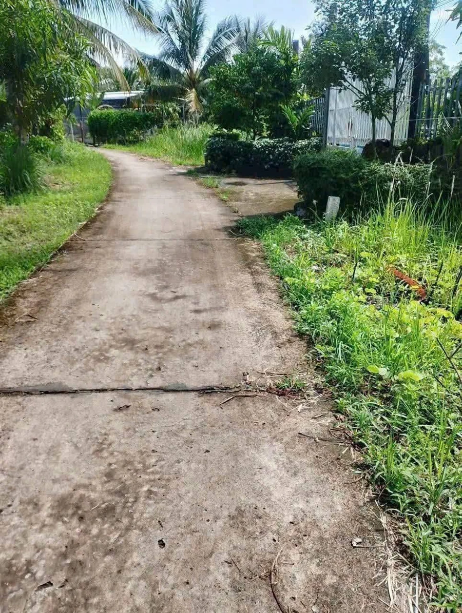 Bán đất làm nhà vườn 630m² Bình Chánh 850 triệu - Ảnh thu nhỏ 3
