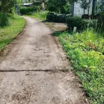 Bán đất làm nhà vườn 630m² Bình Chánh 850 triệu - Ảnh thu nhỏ 3