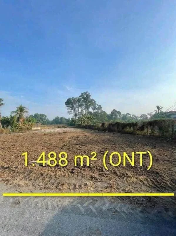Bán đất thổ cư 1.488m2 mặt tiền 32m gần đường Vành Đai, Khánh Hậu, Tân An - Ảnh thu nhỏ 2