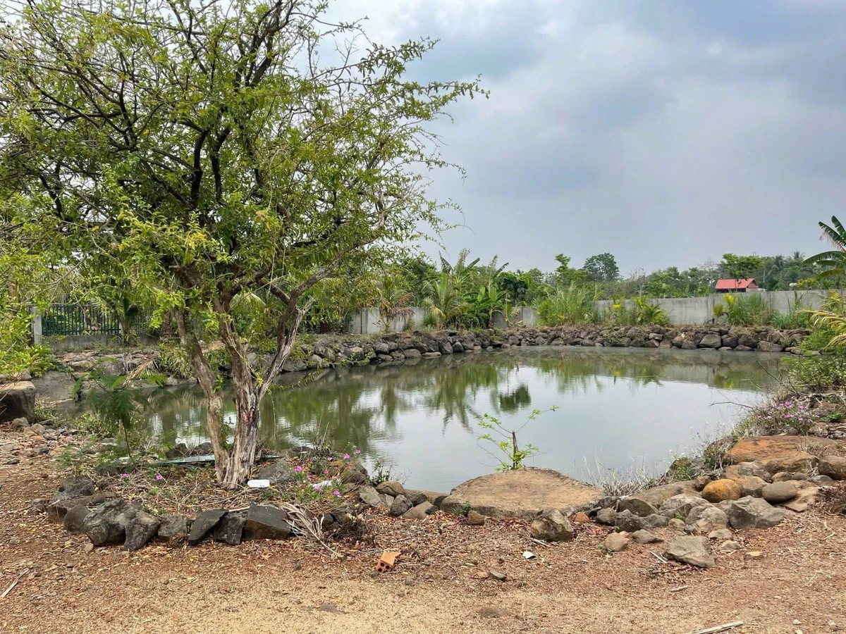 Bán nhà vườn 6,5 sào view ruộng Buôn Ma Thuột - Ảnh thu nhỏ 3
