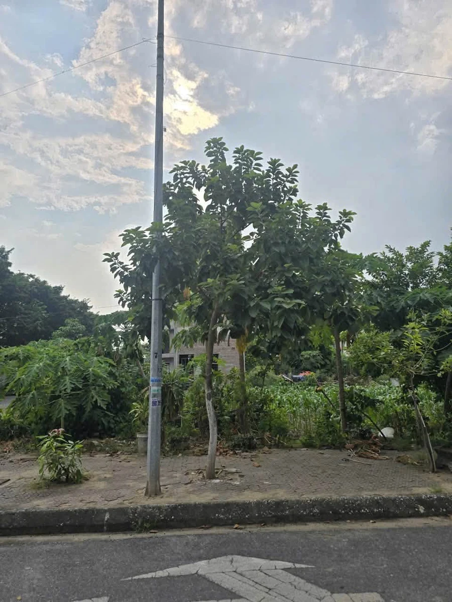 Bán đất liền kề mặt đường Nguyệt Quế KĐT Đại An 73,12m2, Tứ Minh, Hải Dương - Ảnh thu nhỏ 3