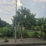 Bán đất liền kề mặt đường Nguyệt Quế KĐT Đại An 73,12m2, Tứ Minh, Hải Dương - Ảnh thu nhỏ 3