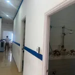 Bán nhà 1 trệt 1 lầu 87m² 3,3 tỷ Bình Chánh - Ảnh thu nhỏ 4