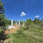Bán vườn trái cây giáp Suối Lớn - có sẵn thổ cư - mặt tiền bê tông - Khu dân cư - Ảnh thu nhỏ 4
