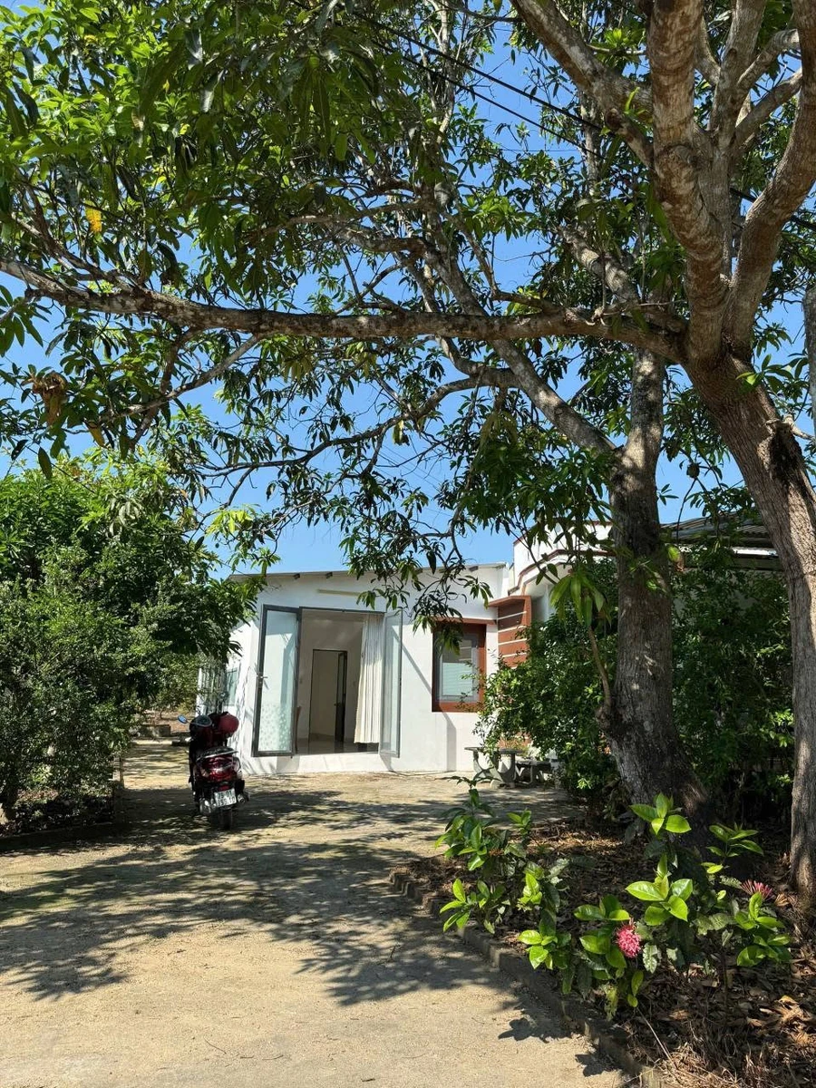 Bán farm Diên Đồng 611,5m² chỉ 1 tỷ 550 triệu - Ảnh thu nhỏ 5