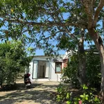 Bán farm Diên Đồng 611,5m² chỉ 1 tỷ 550 triệu - Ảnh thu nhỏ 5