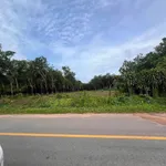 Bán đất 28.000m² mặt tiền 506 Phú Giáo Bình Dương 19 tỷ - Ảnh thu nhỏ 3