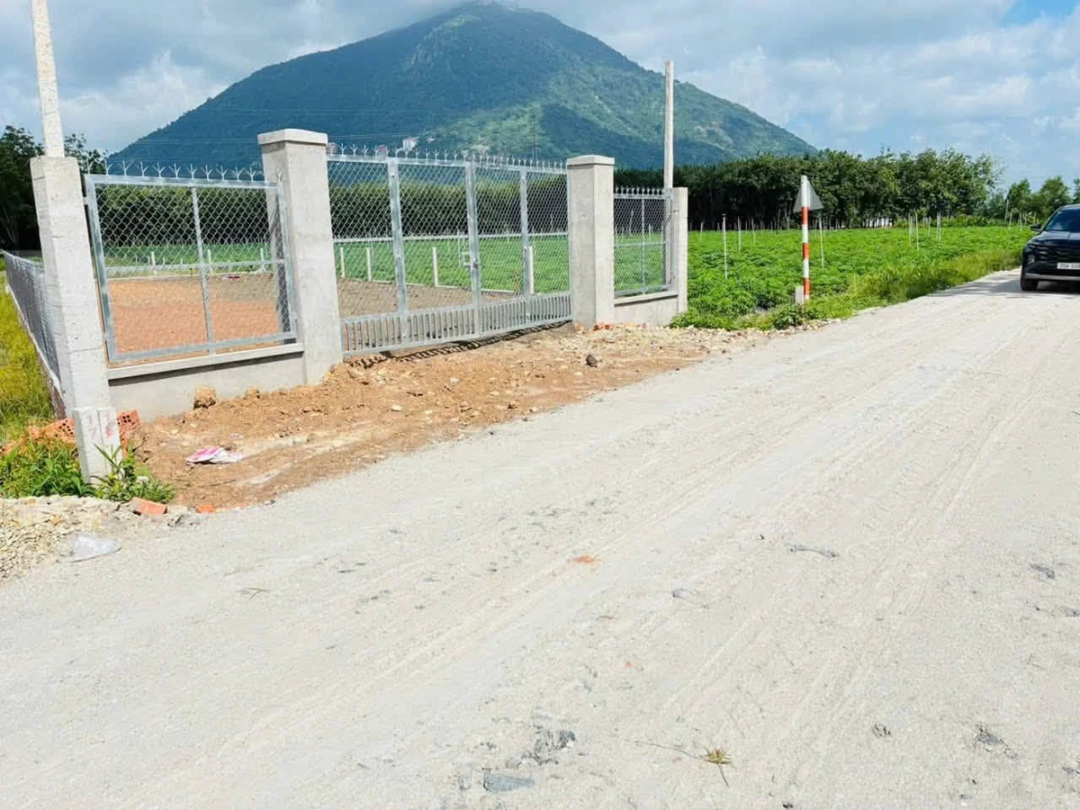 Bán 2 nền đất liền kề 5x29m Xã Phan Dương Minh Châu 320 triệu - Ảnh thu nhỏ 4