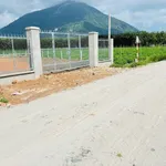 Bán 2 nền đất liền kề 5x29m Xã Phan Dương Minh Châu 320 triệu - Ảnh thu nhỏ 4