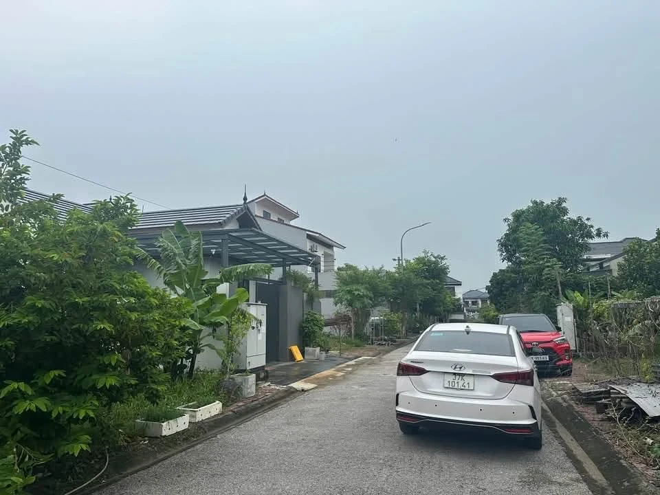 Bán đất đấu giá Xuân Đồng 150m² Vinh Phú - Ảnh thu nhỏ 3