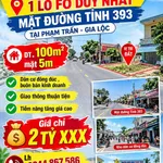 Bán lô đất 100m2 mặt đường Tỉnh 393 Phạm Trấn Gia Lộc - Ảnh thu nhỏ 3