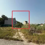 Bán đất 45m2 Ao Tiên Hà Khánh Nhà Bè 800 triệu - Ảnh thu nhỏ 1