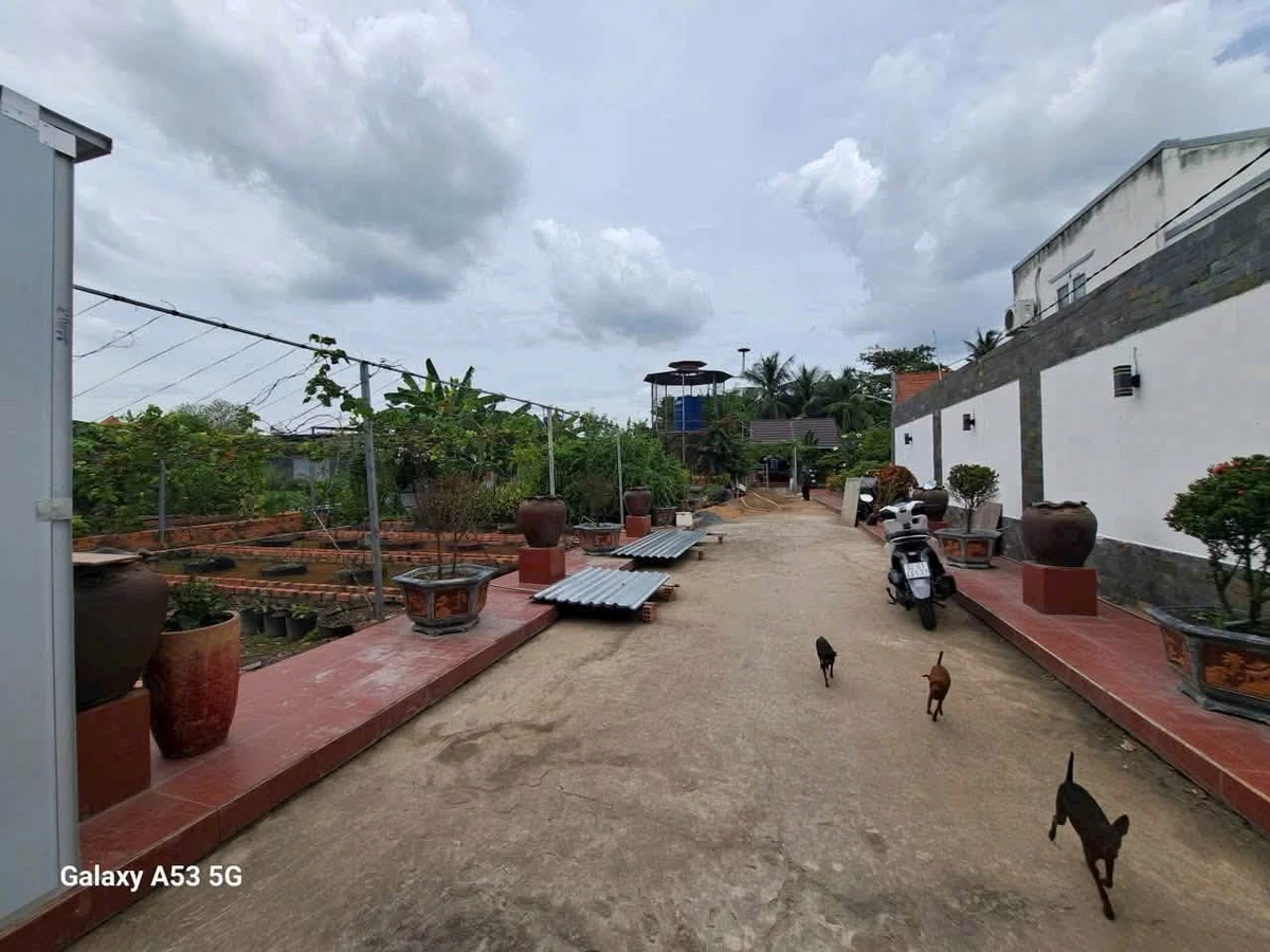 Bán đất vườn 1889m² tại Phước Lợi, Bến Lức 11 tỷ - Ảnh thu nhỏ 3