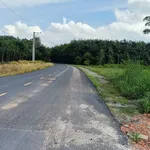 Bán đất mặt tiền 7800m² Bến Cát Bình Dương, giá 8 tỷ - Ảnh thu nhỏ 2