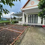 Bán nhà vườn Tân Trụ Long An 283m2, 2 phòng ngủ, 1,55 tỷ - Ảnh thu nhỏ 1