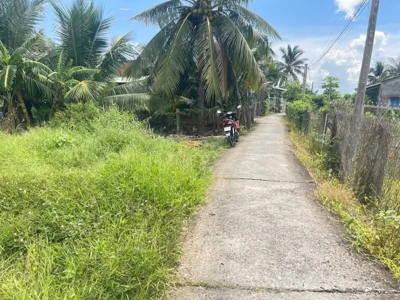 Bán đất 120 m² xã Tầm Vu Tây Ninh 420 triệu - Ảnh thu nhỏ 3