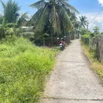 Bán đất 120 m² xã Tầm Vu Tây Ninh 420 triệu - Ảnh thu nhỏ 3