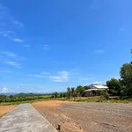 Bán đất nền Diên Thọ Cầu Rút 73.6m² 385 triệu - Ảnh thu nhỏ 2