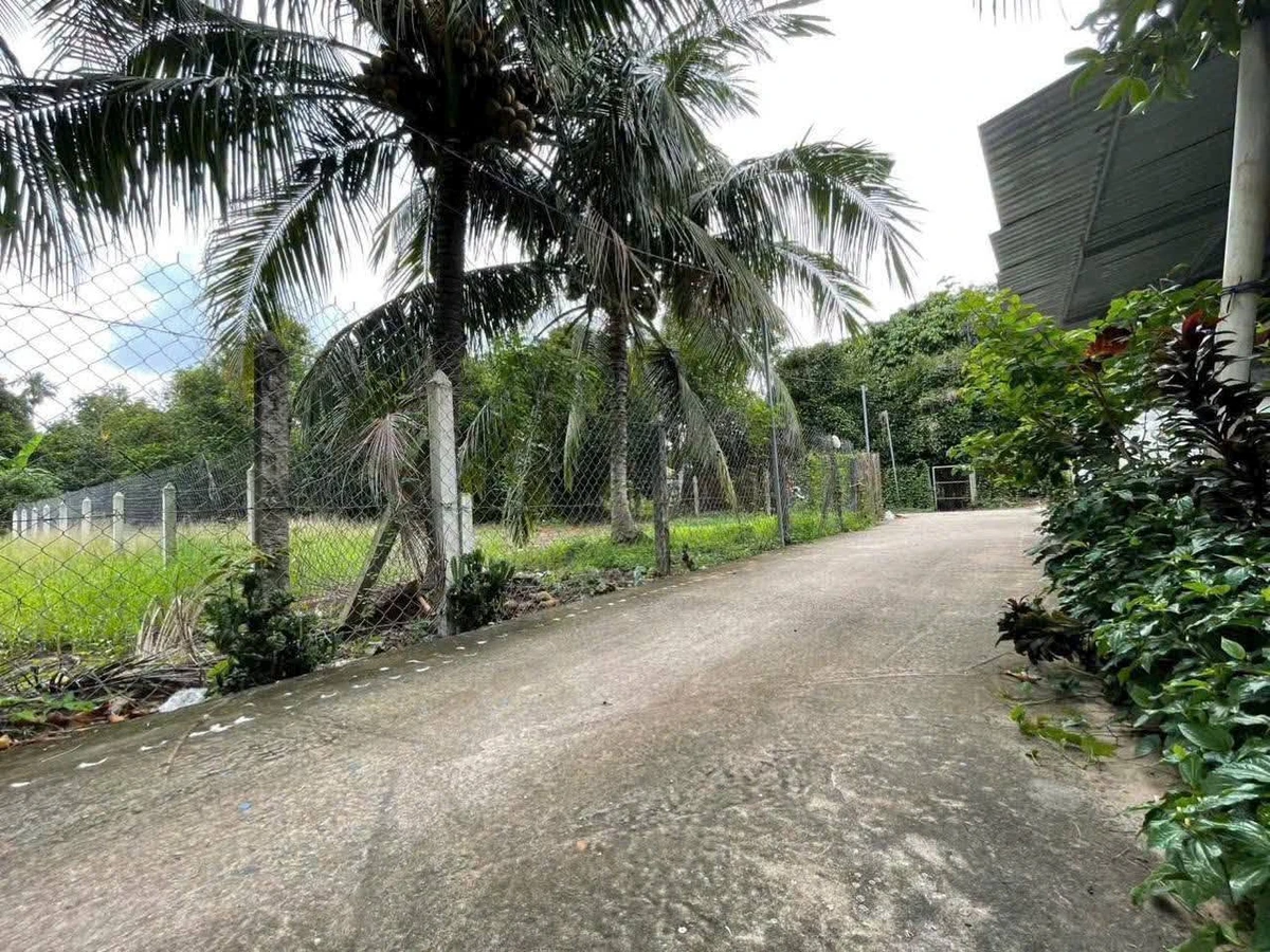 Bán đất mặt tiền An Sơn 32, 500 m2, Nhà Bè, 4,6 tỷ - Ảnh thu nhỏ 2