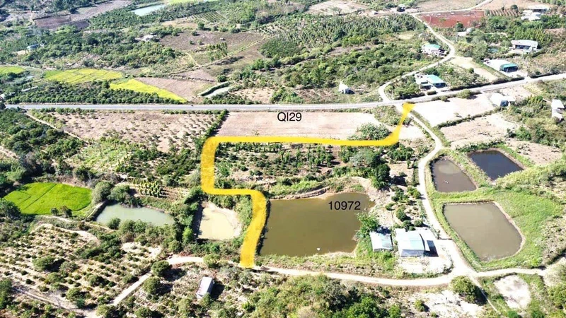 Bán đất 1.9 hecta mặt tiền Quốc Lộ 29, Krông Năng, Đắk Lắk