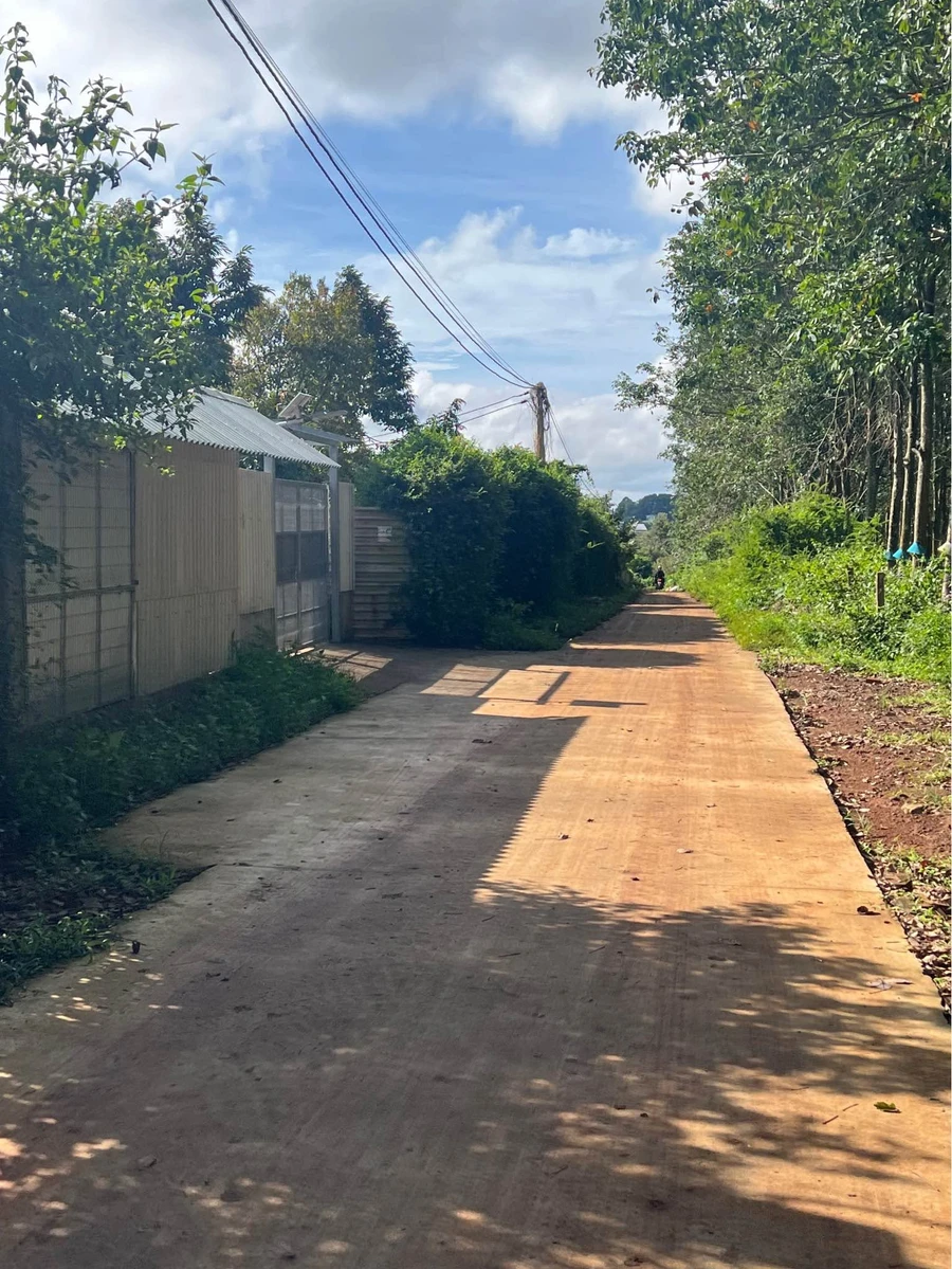 Bán đất nền 2.143m² Nguyễn Xuân Nguyên, Tân An, Đắk Lắk, giá 2,1 tỷ - Ảnh thu nhỏ 3