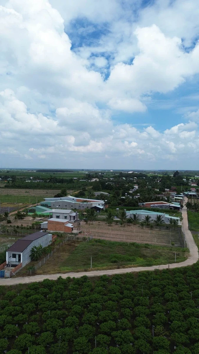 Bán đất nền 90m² 339 triệu, gần Núi Bà, Tây Ninh - Ảnh thu nhỏ 3