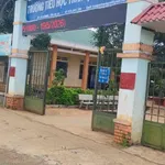 Bán đất Cần Giờ 5x37m 260 triệu - Ảnh thu nhỏ 1