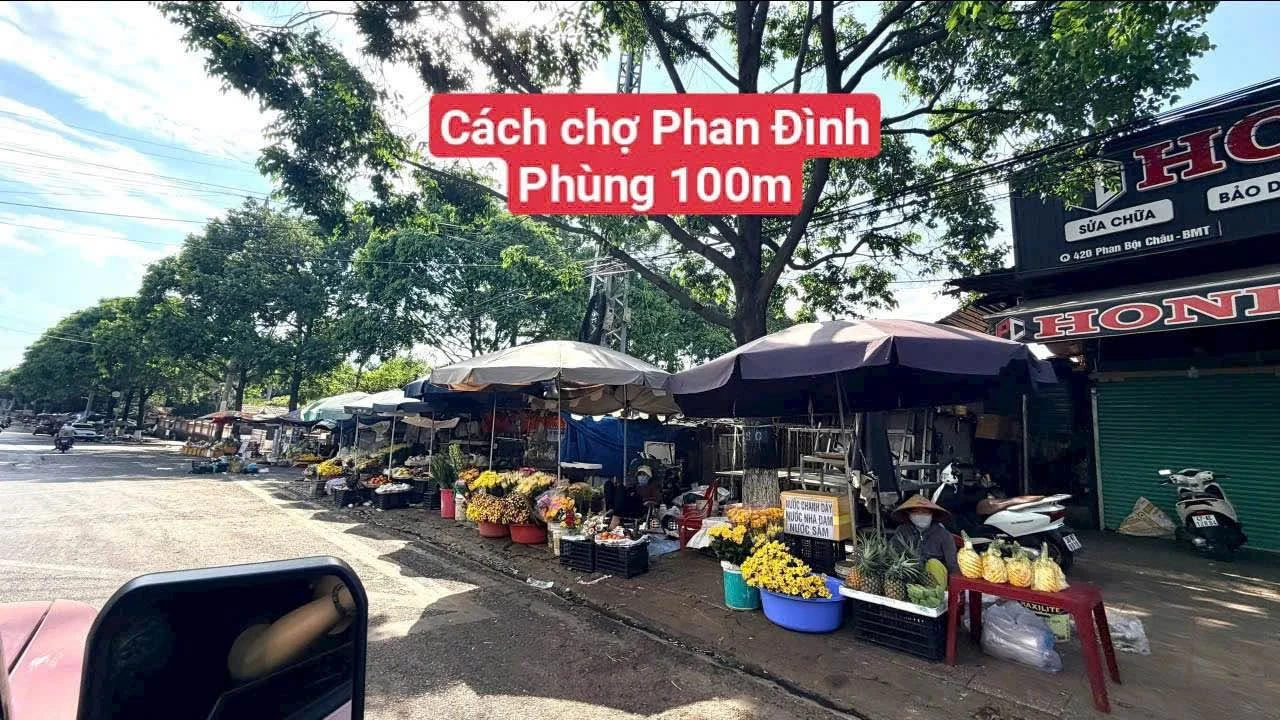 Bán 2 lô đất liền kề hẻm Phan Bội Châu Quận 11 - Ảnh 1