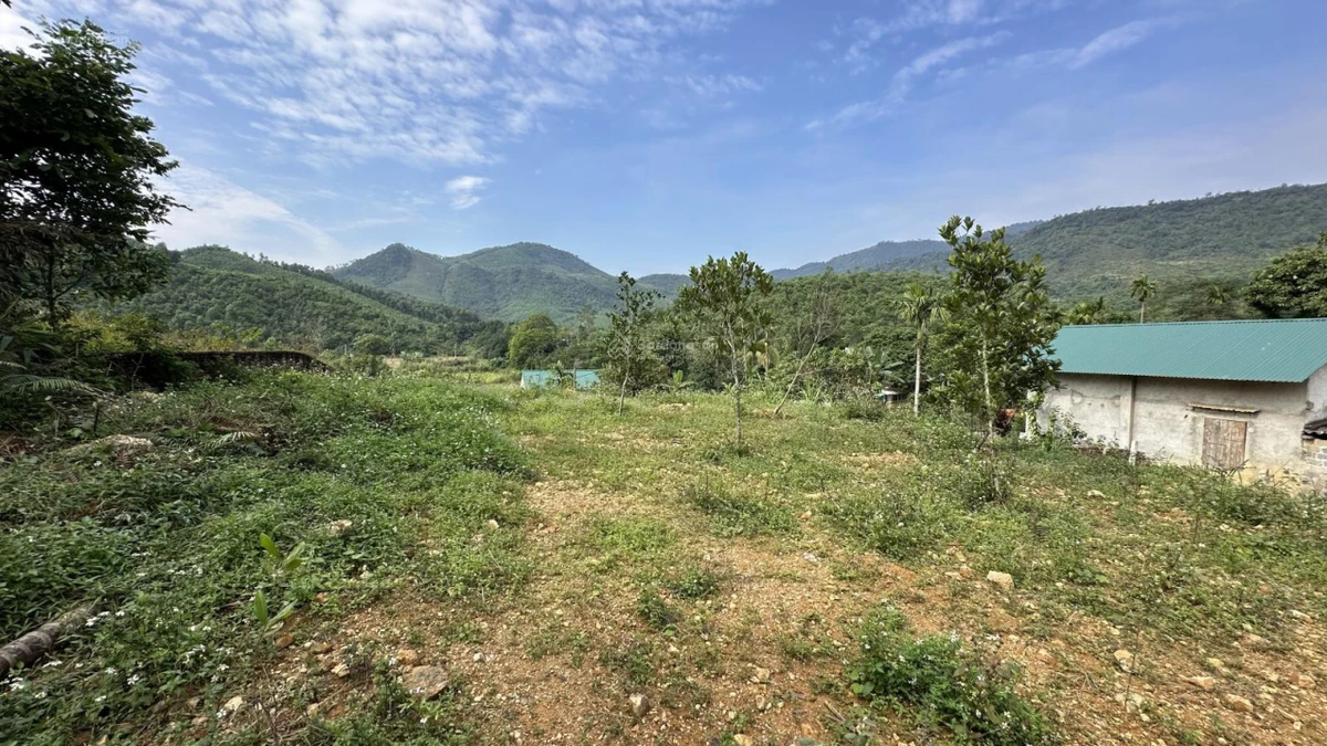 5,5 tỷ bán 1237m2/200m2 thổ cư tại Yên Xuân, Hà Nội - Ảnh thu nhỏ 5