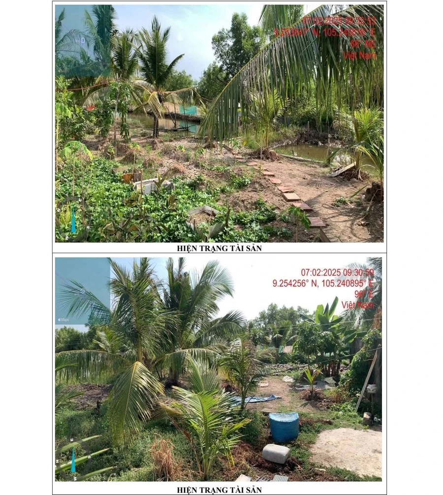 Bán đất nền 20 công Cà Mau, giá ngộp ngân hàng - Ảnh thu nhỏ 5