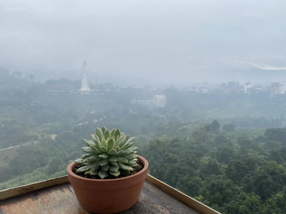 Nếu giấc mơ có nhà Đà Lạt đã quá xa, về Nam Ban mua lô này chờ đô thị phát triển - Ảnh thu nhỏ 4