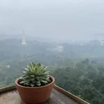 Nếu giấc mơ có nhà Đà Lạt đã quá xa, về Nam Ban mua lô này chờ đô thị phát triển - Ảnh thu nhỏ 4