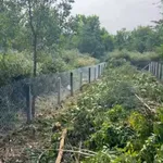Bán đất nền 5×32m tại xã Long Thuận, Tây Ninh 225 triệu - Ảnh thu nhỏ 2