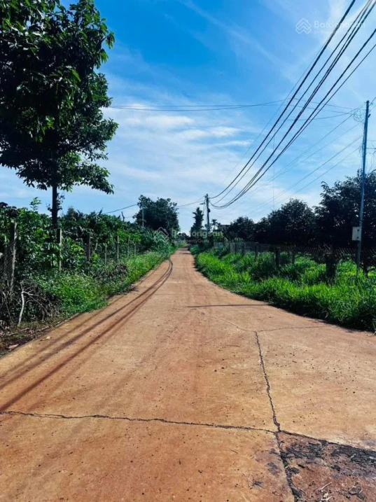 Bán 1013m2 đất thổ cư có nhà C4 với 3PN tại Đan Phượng, Lâm Hà, Lâm Đồng - Ảnh thu nhỏ 2