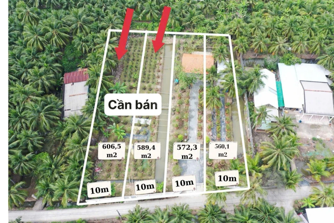 Chính chủ cần bán đất vườn mặt tiền đường 3m, có thổ cư - Ảnh 1