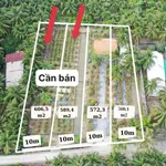 Chính chủ cần bán đất vườn mặt tiền đường 3m, có thổ cư - Ảnh thu nhỏ 1