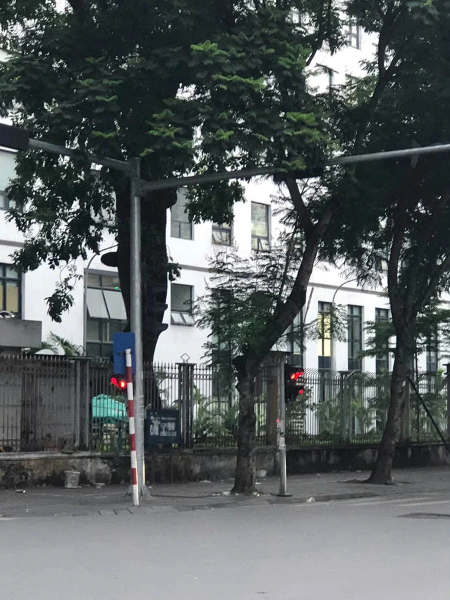 Bán nhà lô góc 6 tầng thang máy phố Lò Đúc, Hà Nội, mặt tiền 5m, giá 12 tỷ - Ảnh 1