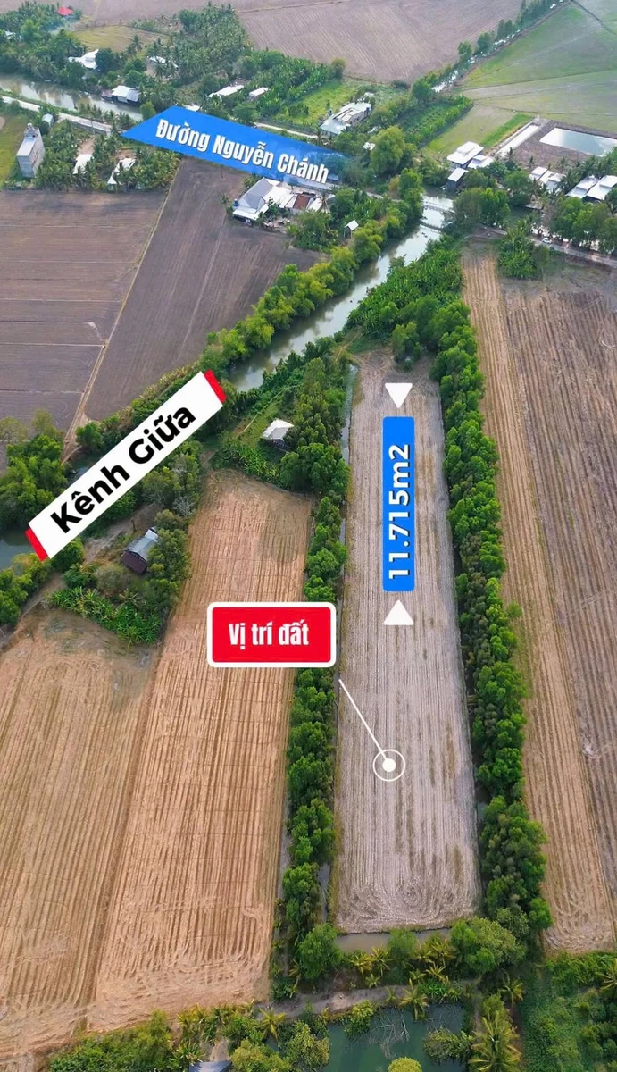 Bán đất ruộng 11.715m² Nguyễn Chánh, An Giang - Ảnh thu nhỏ 2